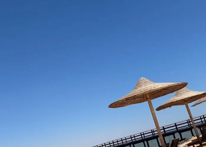 Apartment Orlando El Sokhnaشاليه مخصص للعائلات في اورلاندو